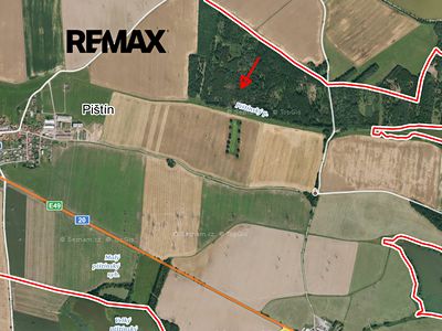 Prodej lesa 1919 m²