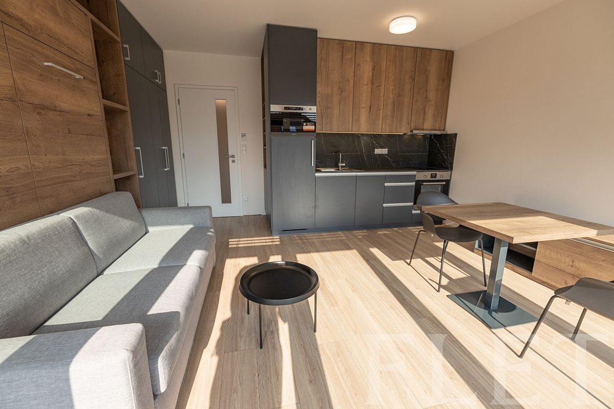 Pronájem bytu 1+kk 34 m² – fotografie 4