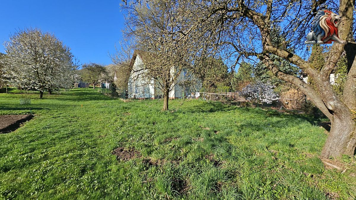 Prodej chalupy 82 m², pozemek 1722 m² – fotografie 4