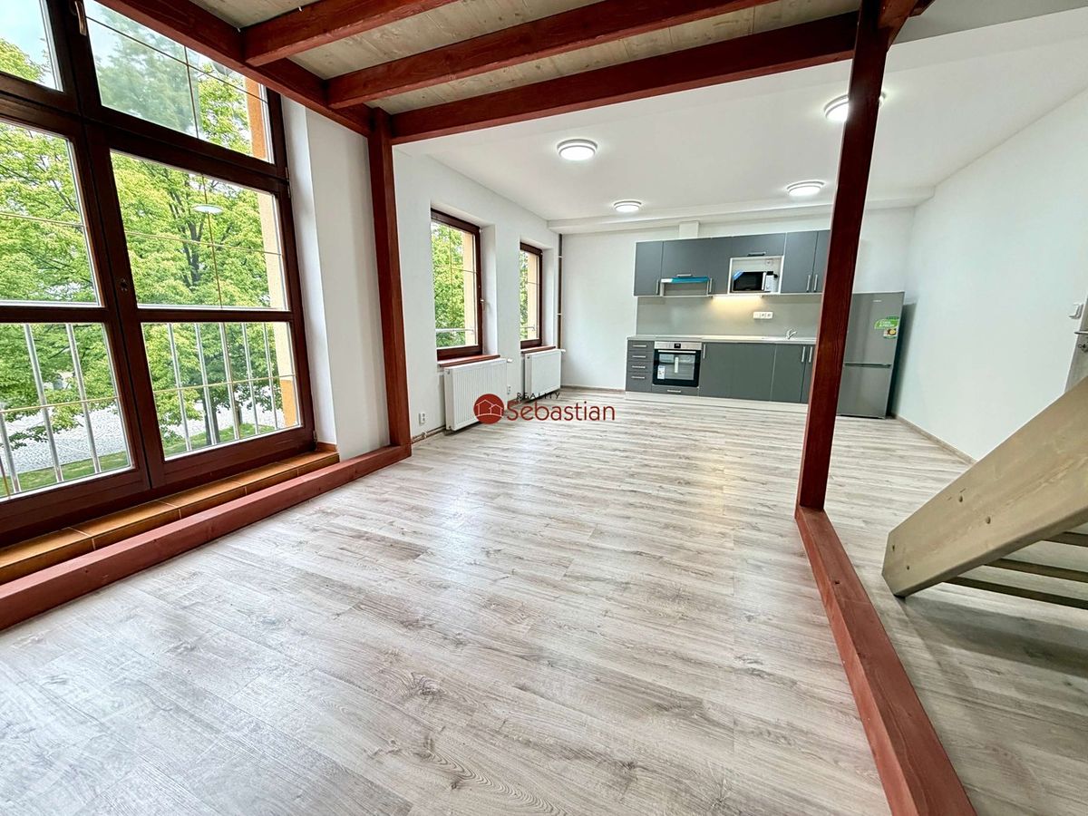 Pronájem bytu 1+kk 60 m² – fotografie 4