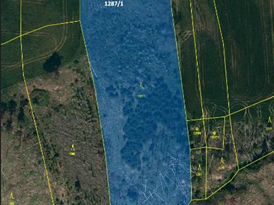 Ділянка на продаж, 11 904 м² (3 з 3)