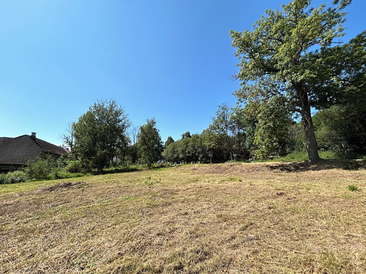 Grundstück zum Kauf, 1.547 m² (11 von 15)