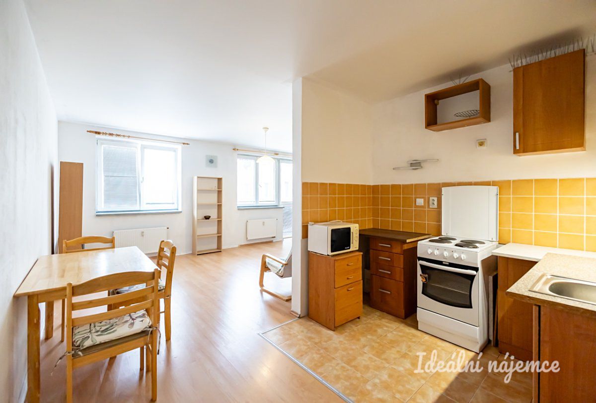Pronájem bytu 1+kk 47 m² – fotografie 4