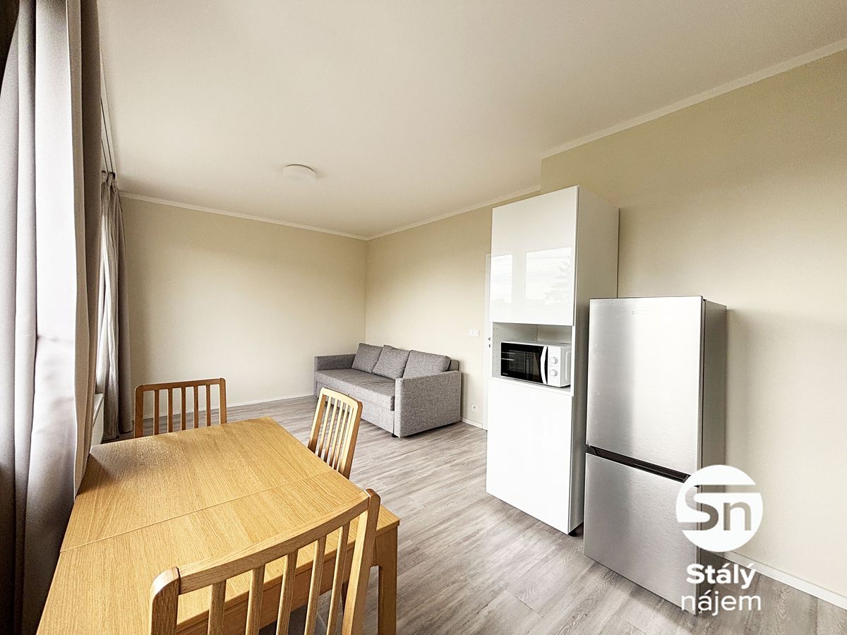 Pronájem bytu 1+kk 33 m² – fotografie 4