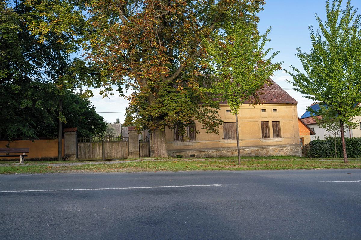 Prodej zemědělské usedlosti 180 m², pozemek 6470 m² – fotografie 2