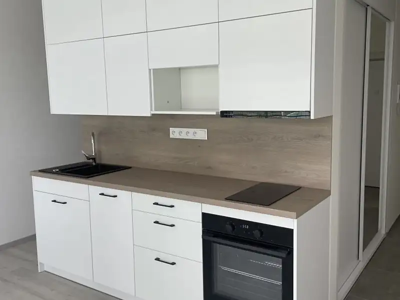Pronájem bytu 1+kk 35 m², Plzeň – náhled fotky 1