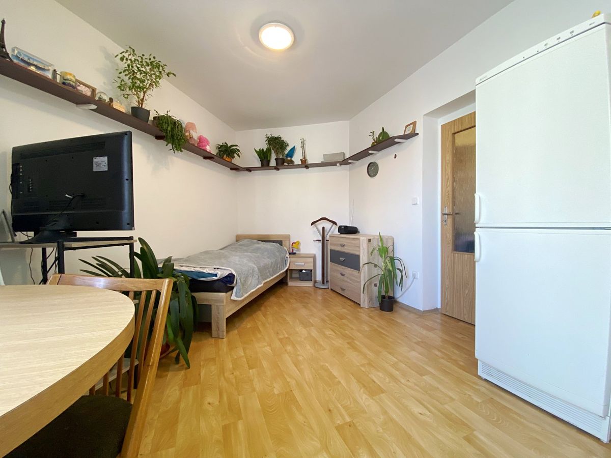 Pronájem bytu 1+kk 23 m² – fotografie 4