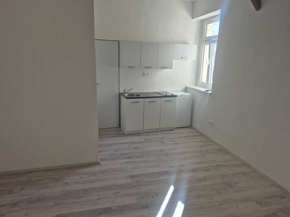 Pronájem bytu 1+kk 28 m² – fotografie 3