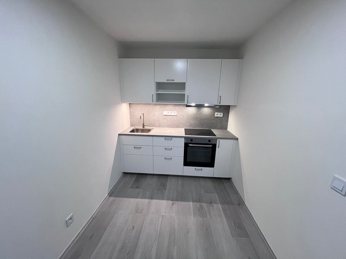 Pronájem bytu 1+1 33 m² – fotografie 4