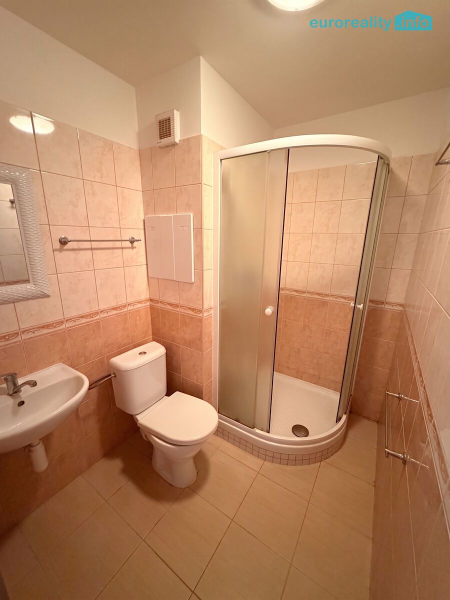 Pronájem bytu 1+kk 20 m² – fotografie 5