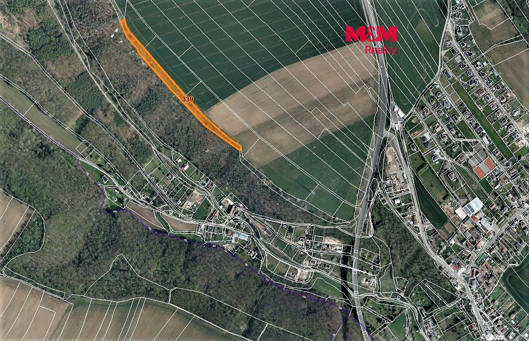 Prodej lesa 3528 m², Hrdlořezy – fotka 1 z 3
