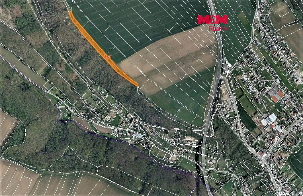 Prodej lesa 3528 m²