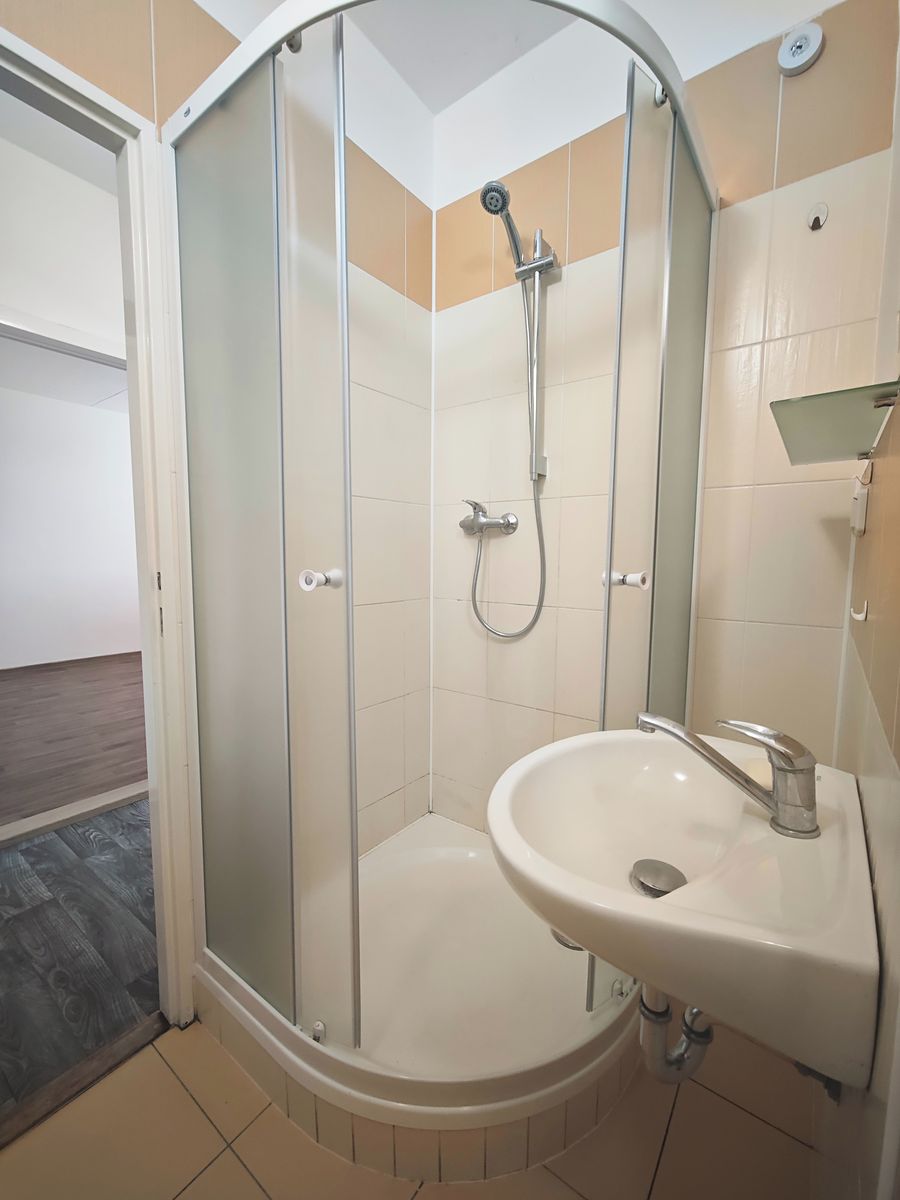 Pronájem bytu 1+1 32 m² – fotografie 3