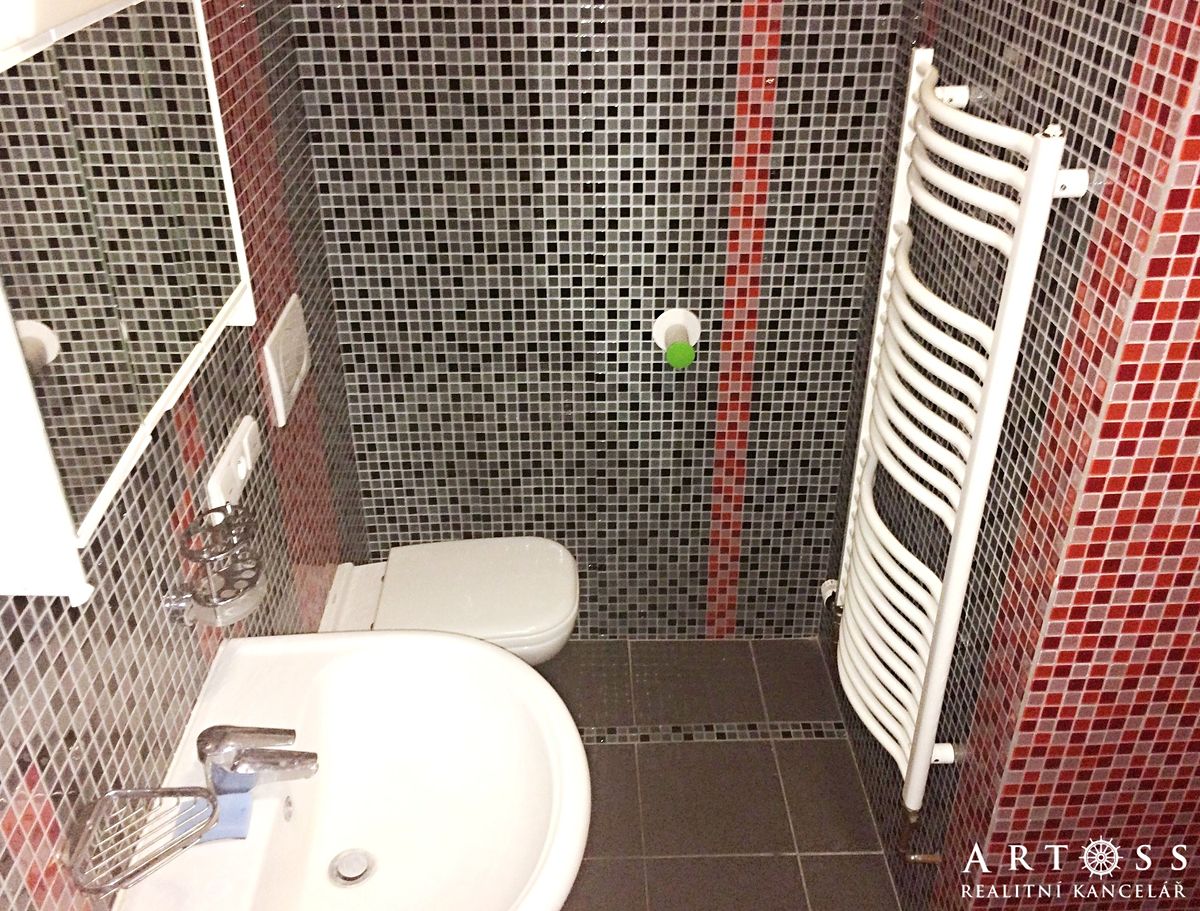 Pronájem bytu 1+kk 32 m² – fotografie 3