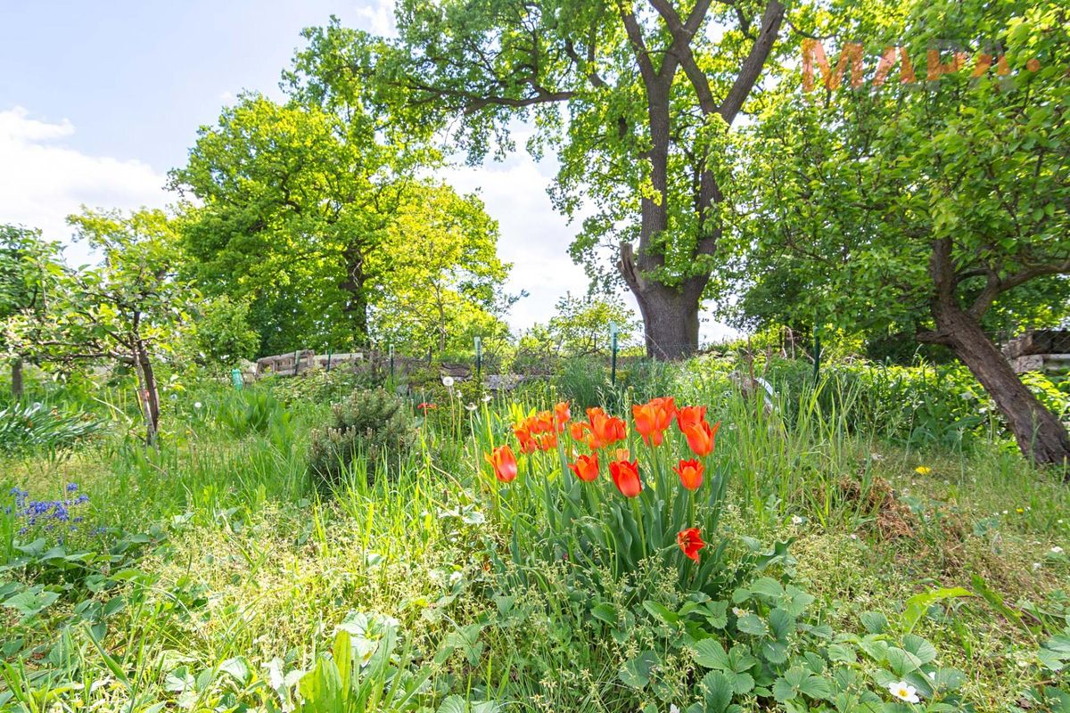 Prodej chaty 16 m², pozemek 448 m² – fotografie 5