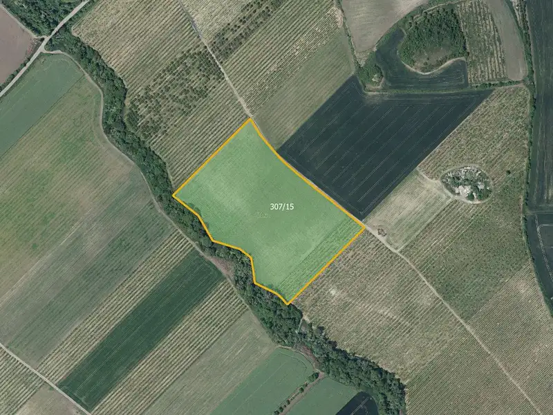 Prodej pole 42369 m², Želkovice – náhled fotky 1