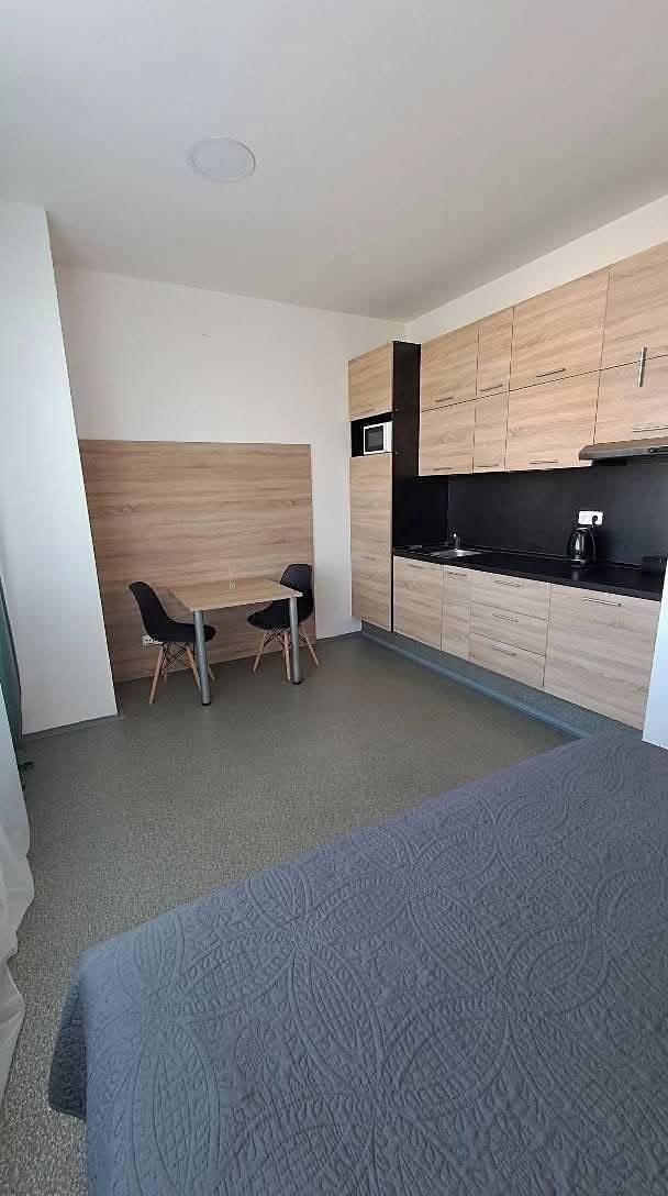 Pronájem bytu 1+kk 35 m²
