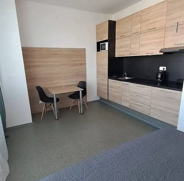 Pronájem bytu 1+kk 35 m², Hranice – náhled fotky 1