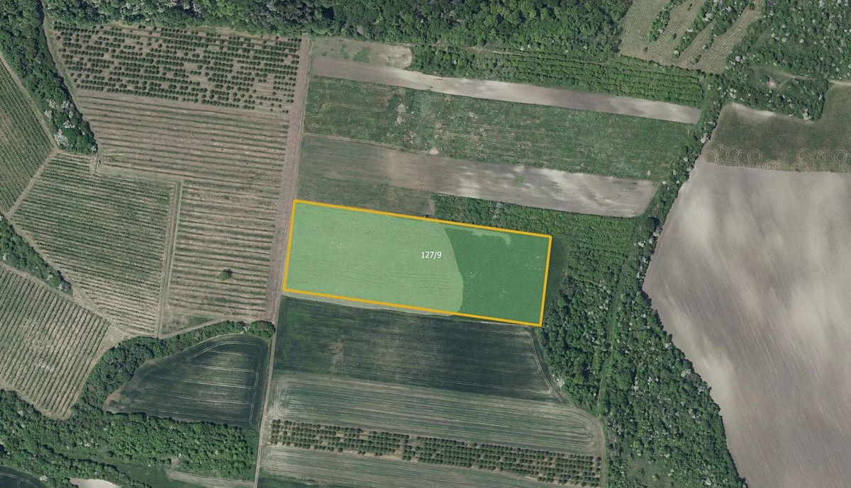Prodej sadu, vinice 25653 m², Želkovice – fotka 1 z 3