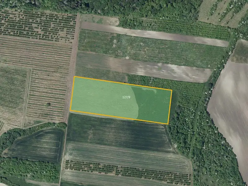Prodej sadu, vinice 25653 m², Želkovice – náhled fotky 1
