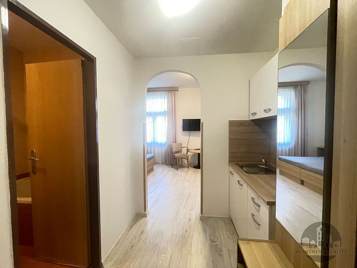 Pronájem bytu 1+kk 27 m² – fotografie 5