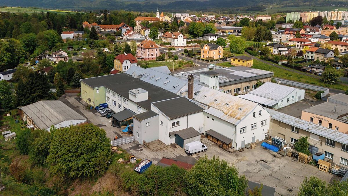 Prodej výrobní haly, prostoru 11439 m²