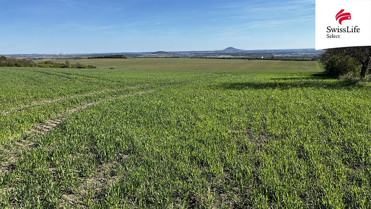 Prodej pole 38675 m² – fotografie 3