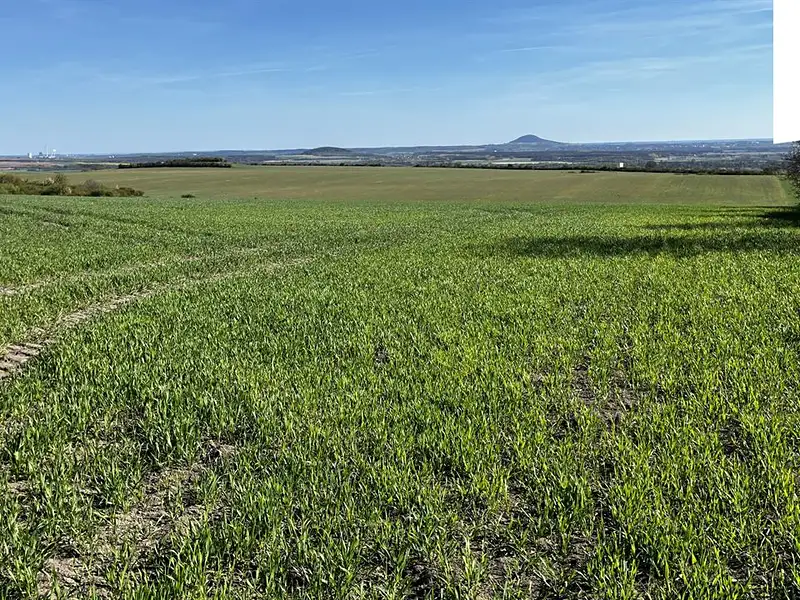 Prodej pole 38675 m², Polepy – náhled fotky 3