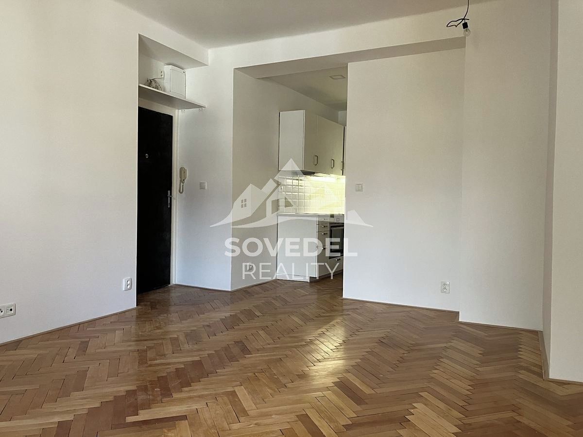 Pronájem bytu 1+kk 25 m² – fotografie 3
