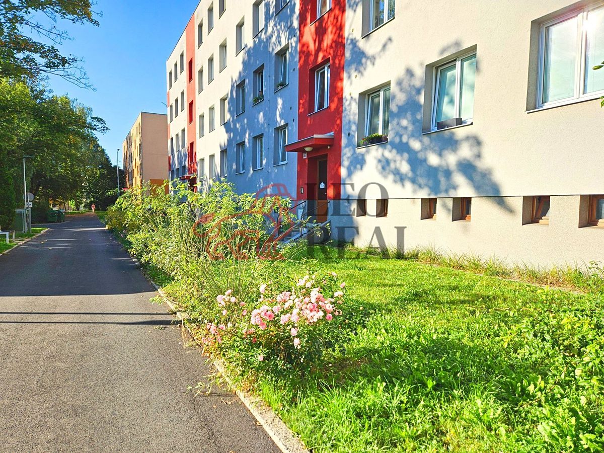Prodej bytu 3+1 55 m² – fotografie 4