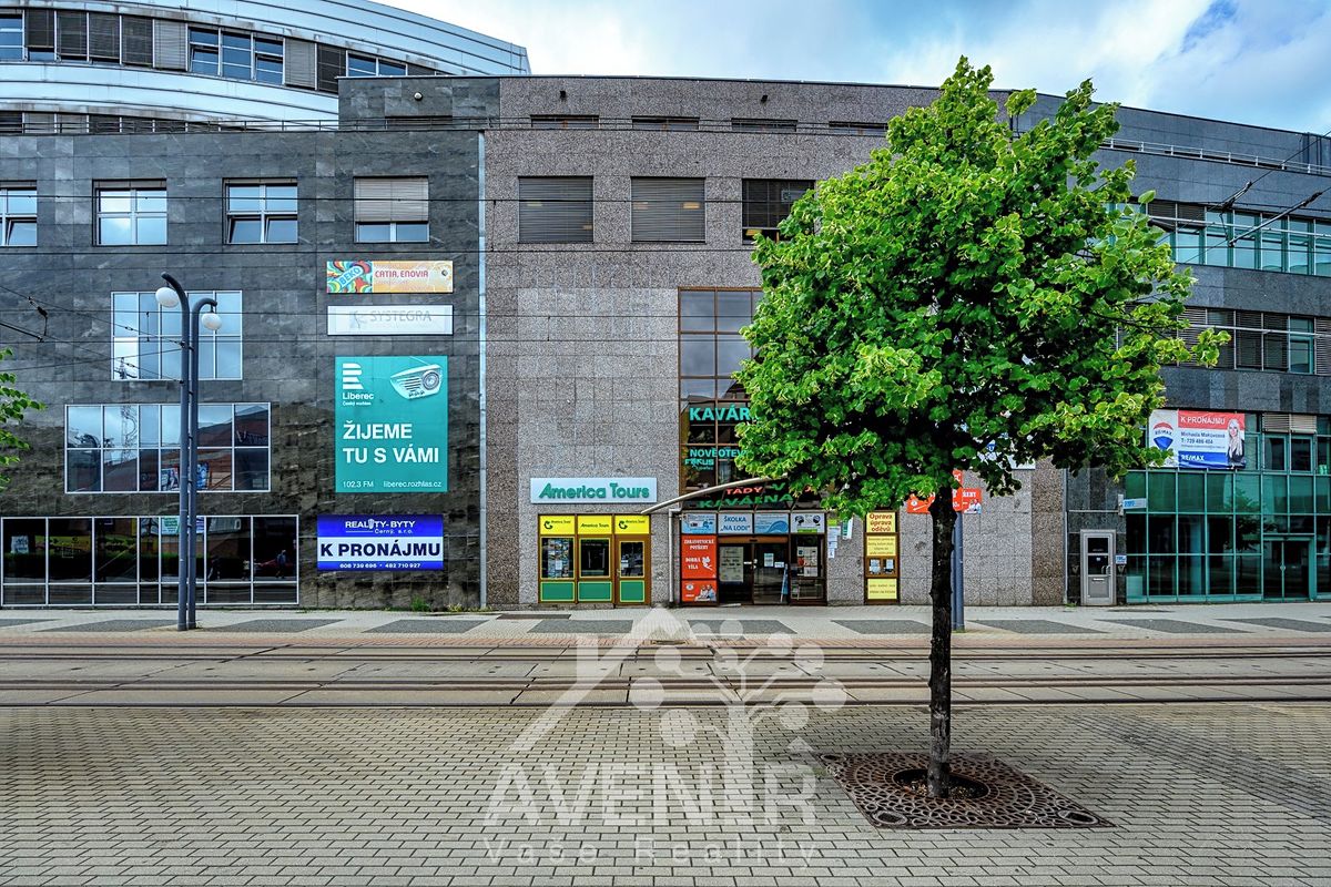 Pronájem kanceláře 45 m² – fotografie 2
