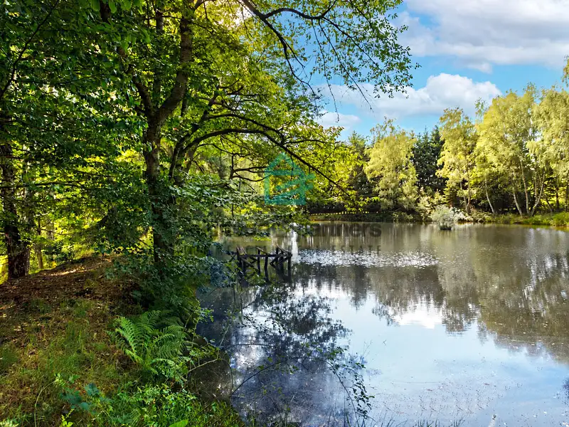 Prodej pozemku 6805 m², Benešov nad Černou – náhled fotky 1