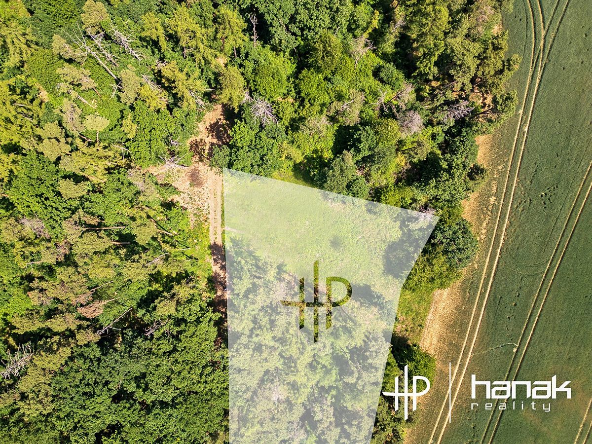 Prodej rodinného domu 127 m², pozemek 3150 m² – fotografie 4