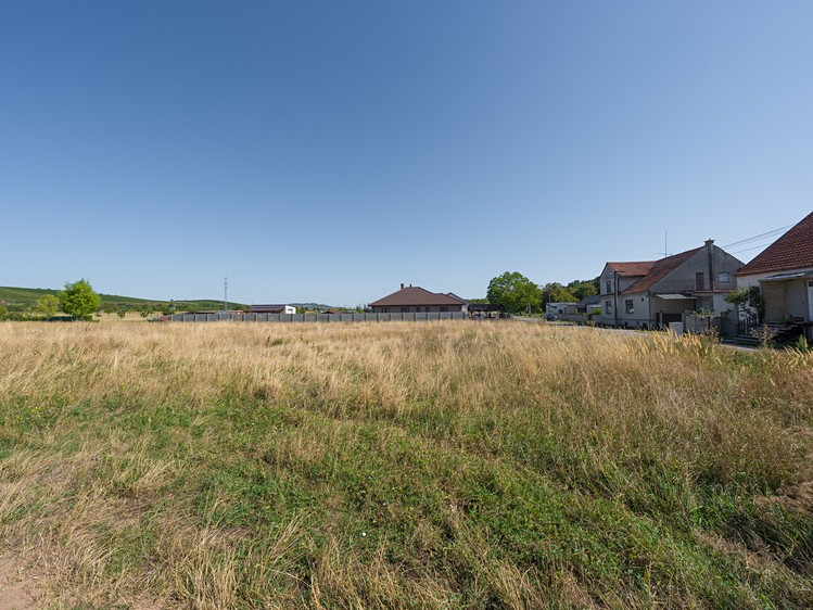 Ostatní