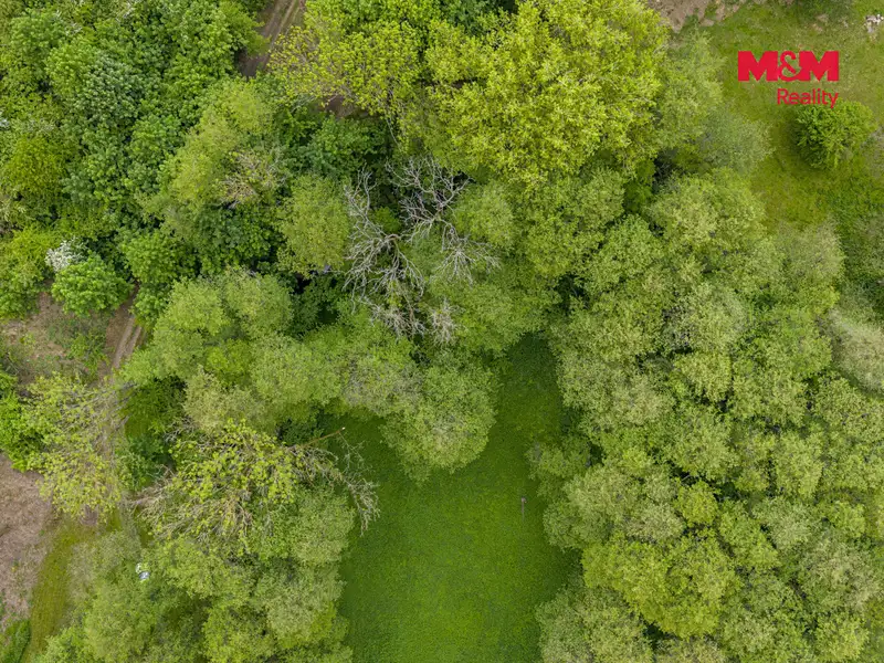 Prodej lesa 491 m², Červené Pečky – náhled fotky 2
