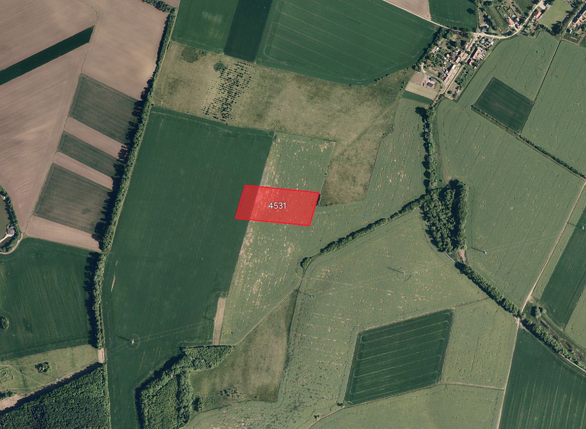 Prodej pole 24656 m²