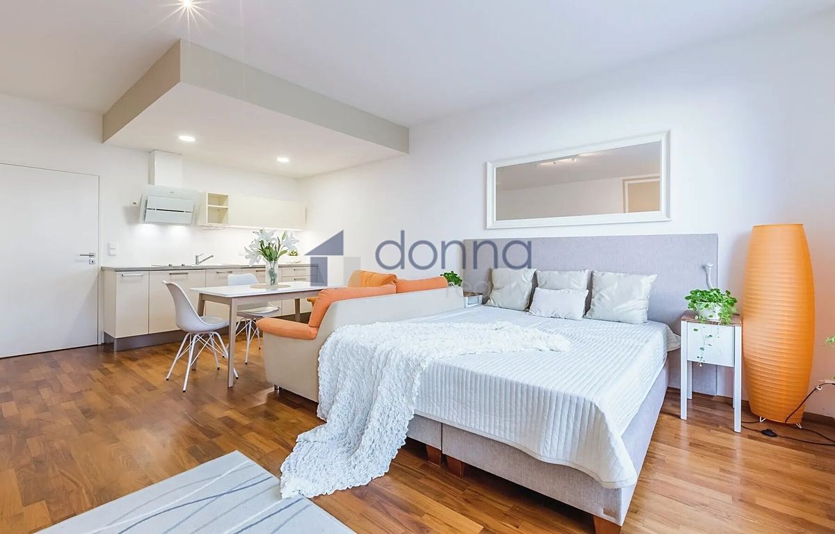 Pronájem bytu 1+kk 43 m² – fotografie 2
