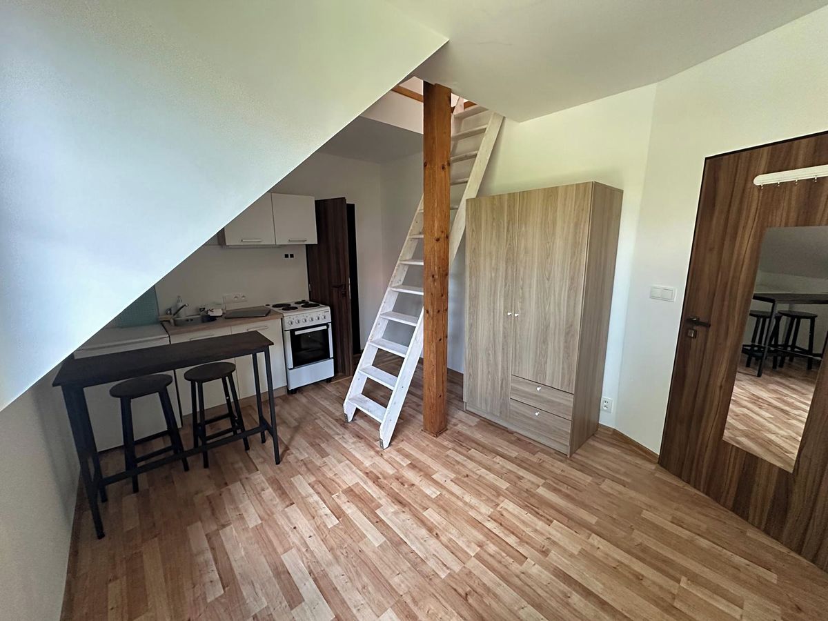 Pronájem bytu 2+kk 30 m² – fotografie 4