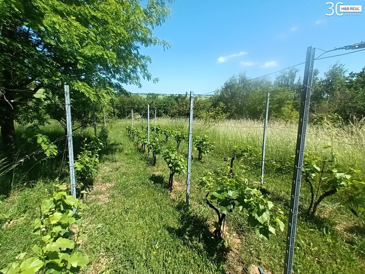 Grundstück zum Kauf, 1.584 m² (10 von 15)