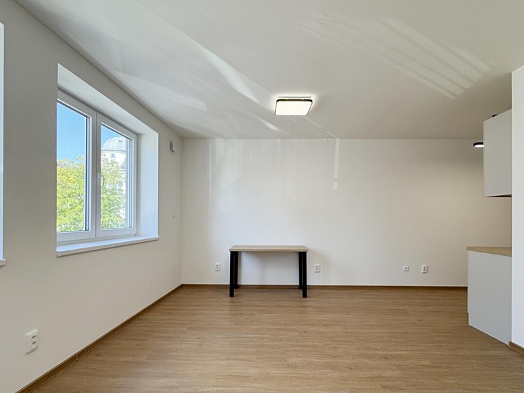 Wohnung 1+kk zur Miete, 36 m² (10 von 27)