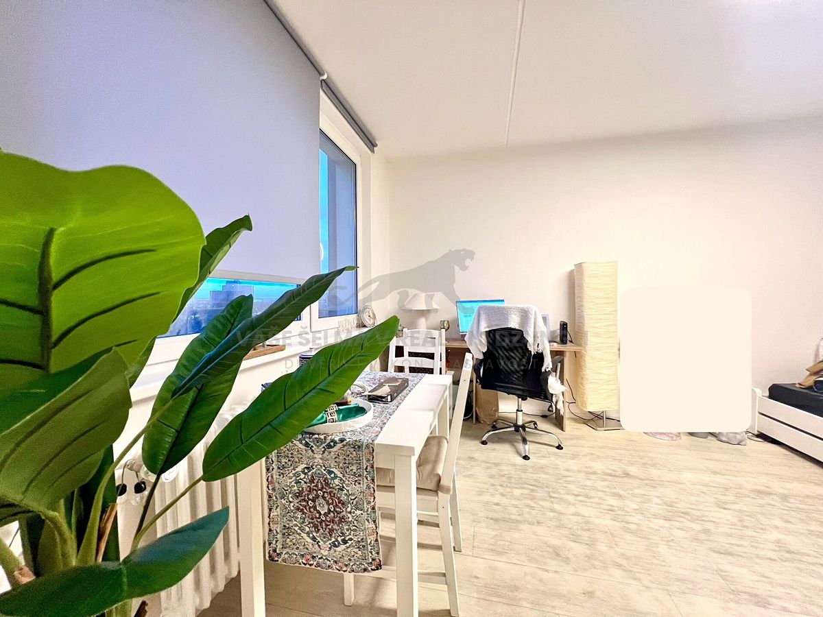 Pronájem bytu 1+kk 30 m² – fotografie 3