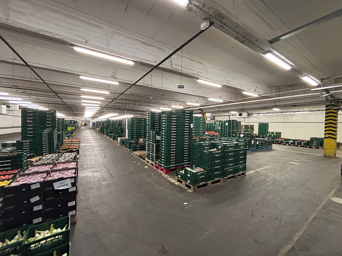Pronájem skladového prostoru 9000 m² – fotografie 3