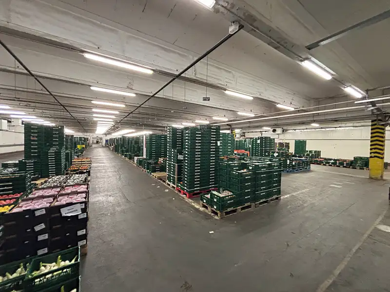 Pronájem skladového prostoru 9000 m², Cheb – náhled fotky 3