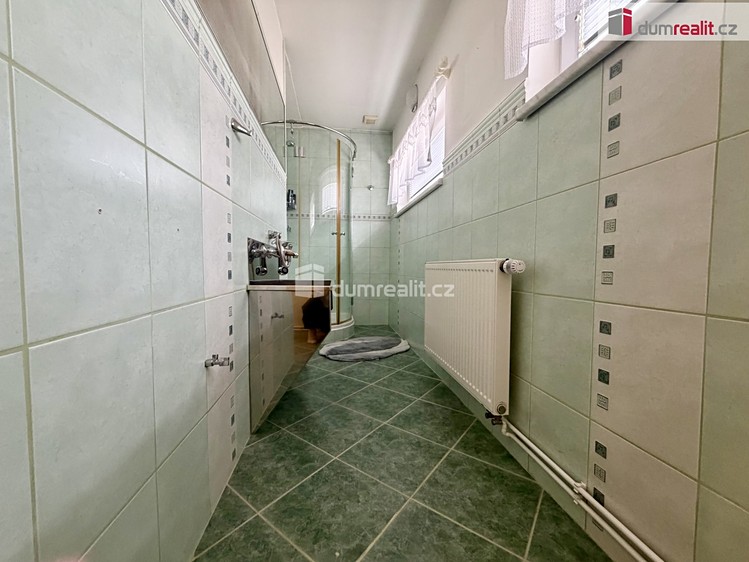 Prodej domu, 100 m² (26 z 47)