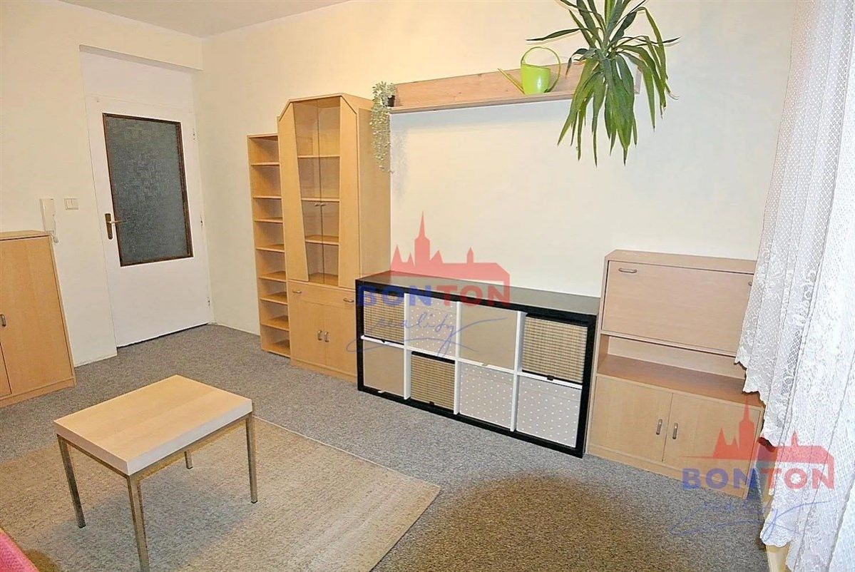 Pronájem bytu pokoje 30 m² – fotografie 2