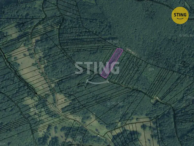 Prodej lesa 19597 m², Velké Karlovice – náhled fotky 3