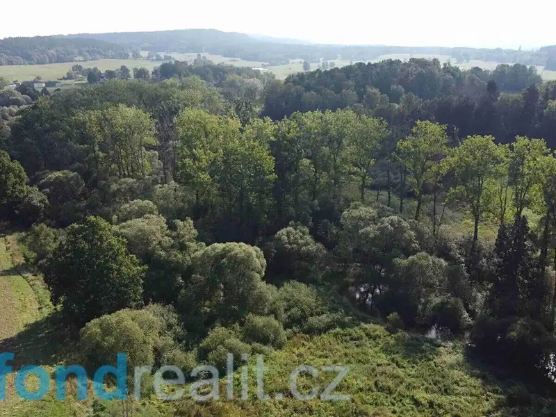 Prodej pozemku 24285 m², Dolní Dvořiště – náhled fotky 3