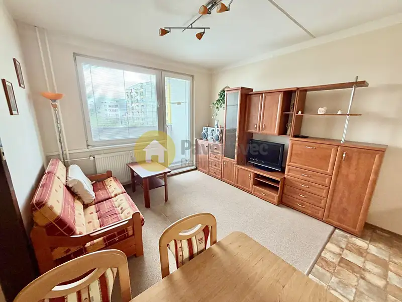 Pronájem bytu 1+1 43 m², Písek – náhled fotky 2