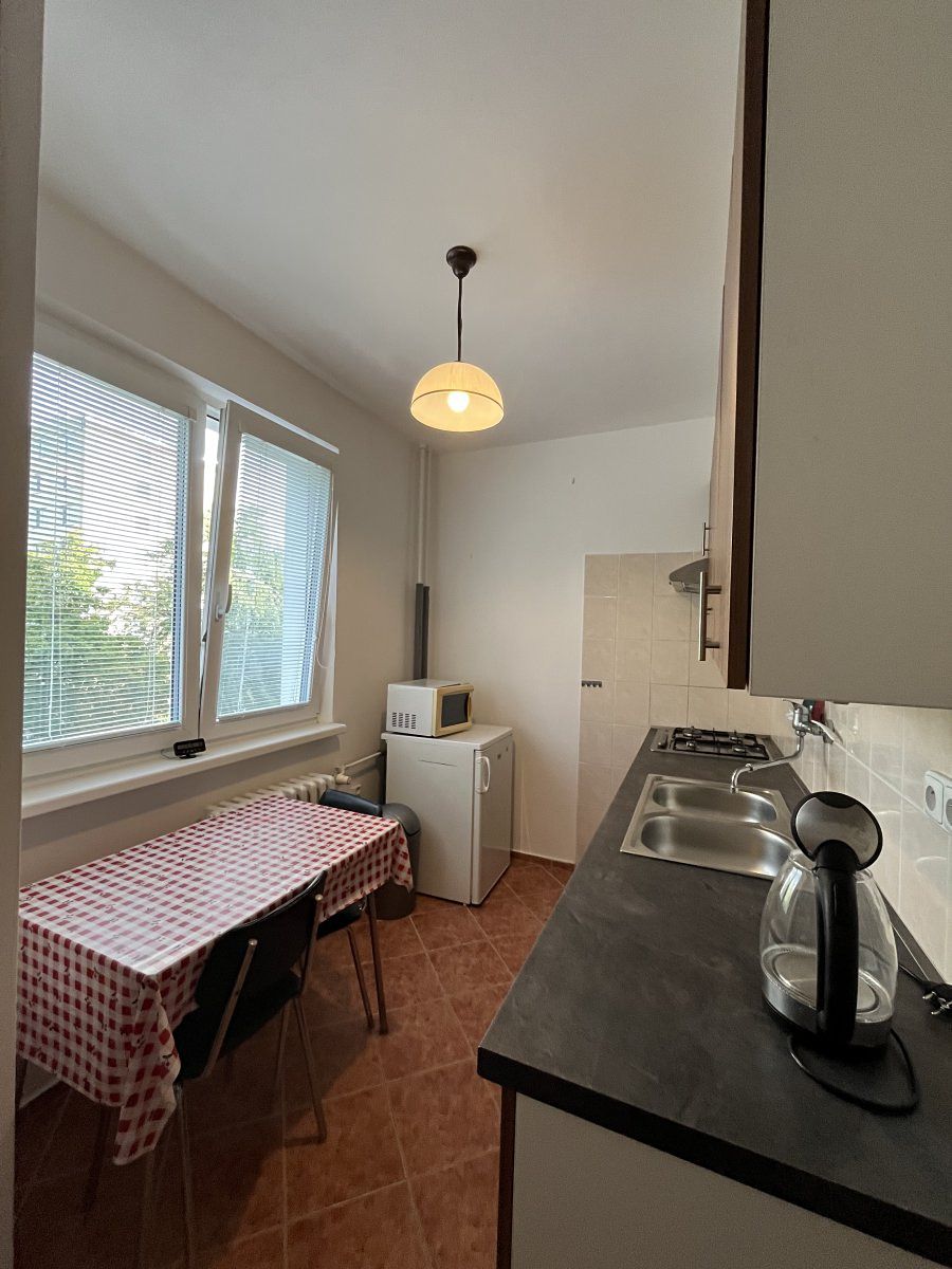Pronájem bytu 1+1 40 m² – fotografie 3