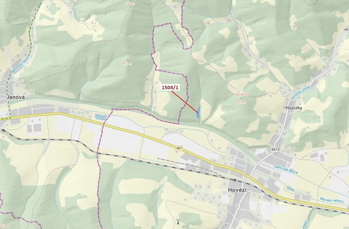 Dražba lesa 2626 m², Hovězí – fotka 1 z 3